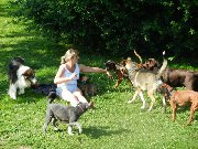 Moi przyjaciele: [P]Dobry, [P]Ari, [P]Sonia, [P]Watson, [P]Bary, [P]Holly i [P]Luna