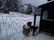 [P]Bera, [P]Ari i [P]Axel uprzejmie proszą o otworzenie bramki