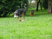 [P]Diego i [P]Holly