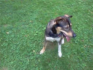 [P]Watson