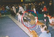 Dog exhibitor - during selection of the best puppy of the dog show, 2002